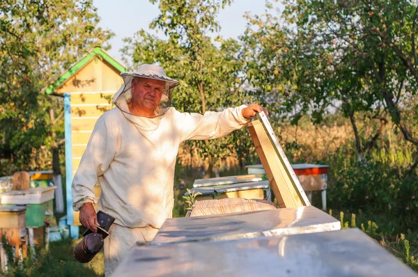 Beekeeper is working with bees and beehives on the apiary.