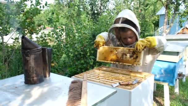 Glada Pojke Biodlare Skyddsdräkt Nära Bikupa Honungskaka Med Honung Ekologisk — Stockvideo