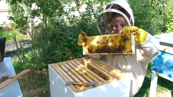 Veselý Včelař Ochranném Obleku Poblíž Úlu Hřeben Medem Organická Koncepce — Stock video