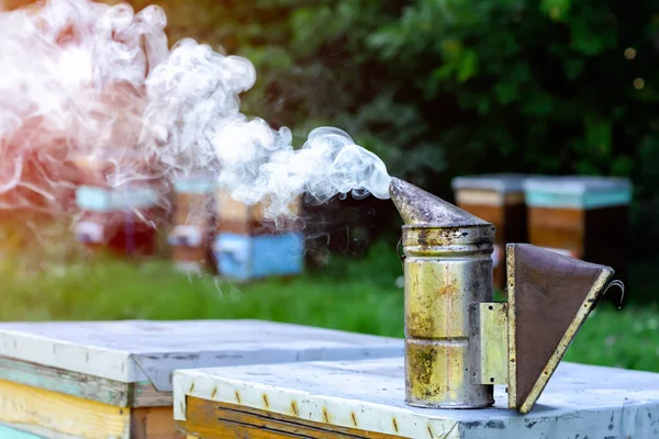 Cheminée Aux Betteraves Des Ruches Périphérie Forêt Concept Apiculture — Photo