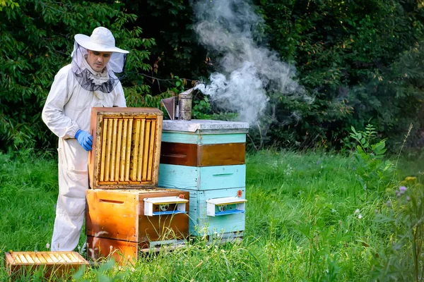 若い養蜂家が巣の近くの養蜂場で働いている 巣から直接天然の蜂蜜 — ストック写真