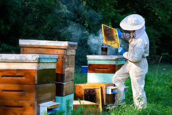 Young Man Beekeeper Works Beehive Hives Natural Honey Directly Hive — Stock Photo, Image