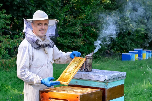 Een Jongeman Werkt Een Bijenstal Bij Bijenkorven Natuurhoning Rechtstreeks Uit — Stockfoto