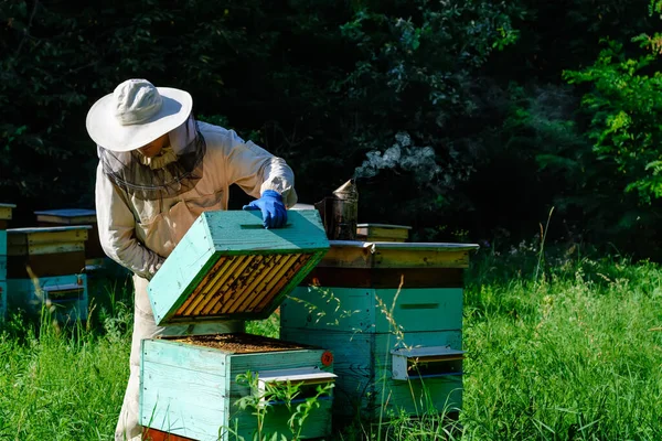 Een Jongeman Werkt Een Bijenkorf Bij Bijenkorven Natuurhoning Rechtstreeks Uit — Stockfoto