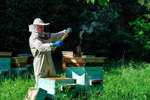 Een Jongeman Werkt Een Bijenkorf Bij Bijenkorven Natuurhoning Rechtstreeks Uit — Stockfoto