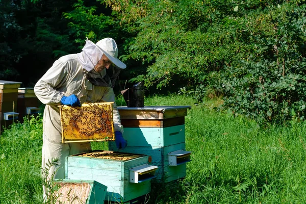 Ένας Νεαρός Μελισσοκόμος Δουλεύει Μια Κυψέλη Κοντά Στις Κυψέλες Φυσικό — Φωτογραφία Αρχείου
