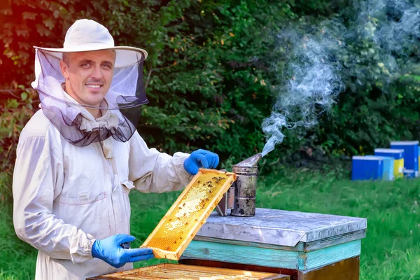 Imker Werkt Met Bijen Bijenkorven Bijenstal Bijenteeltconcept — Stockfoto