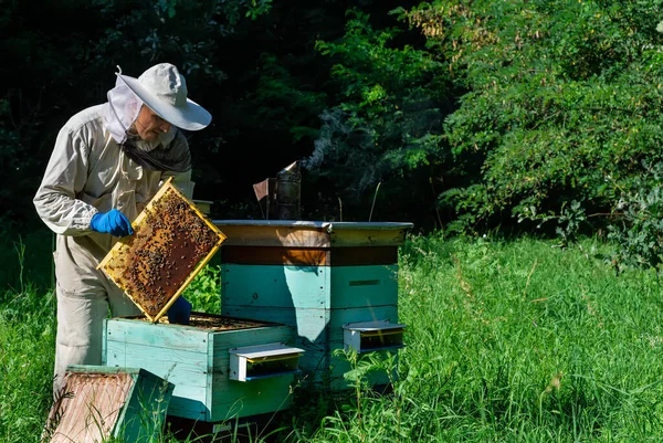 Apicoltore Sull Apiario Apicoltore Sta Lavorando Con Api Alveari Sull — Foto Stock