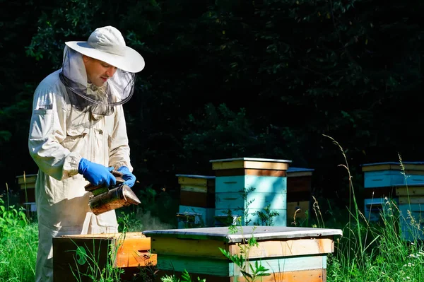 Apiculteur Sur Rucher Apiculteur Travaille Avec Les Abeilles Les Ruches — Photo