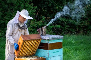 Arı yetiştiricisi arıda. Arı yetiştiricisi arılarla ve arı kovanlarıyla çalışıyor. Apiculture kavramı