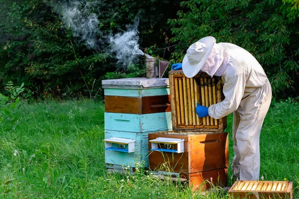 Imker Auf Dem Imkerstand Imker Arbeiten Mit Bienen Und Bienenstöcken — Stockfoto