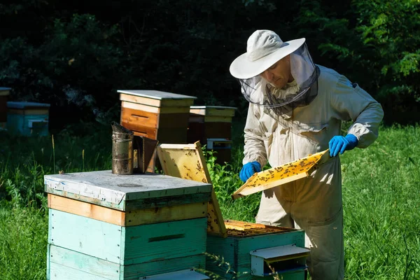 Retrato Cerca Del Apicultor Sosteniendo Panal Lleno Abejas Apicultor Ropa — Foto de Stock