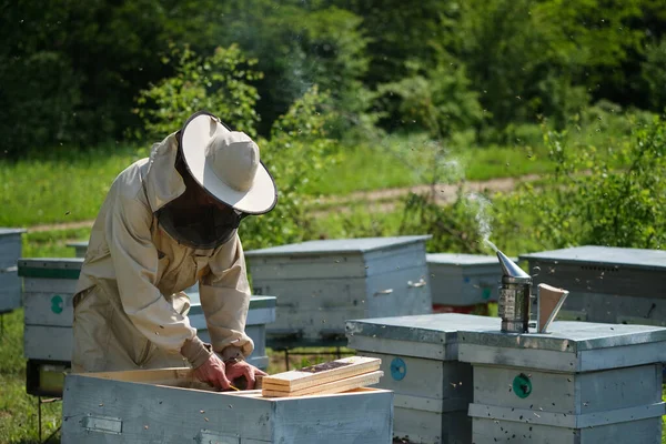 Apicultor Colmenar Apicultor Está Trabajando Con Abejas Colmenas Colmenar — Foto de Stock