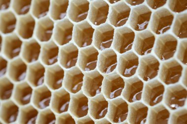 Arkaplan olarak bal peteği doldurulmuş. Taze bal. Sağlıklı doğal tatlandırıcı