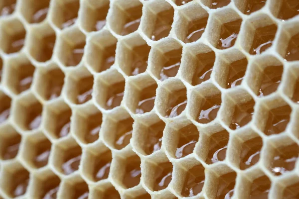 Filled Honeycomb Background Fresh Honey Healthy Natural Sweetener — Stock Photo, Image
