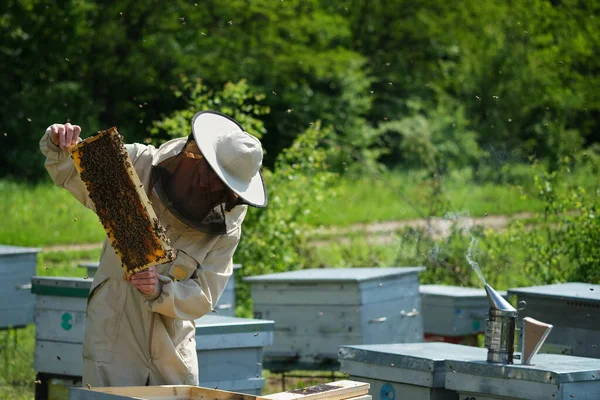 Μελισσοκόμος Στο Μελισσοκομείο Μελισσοκόμος Δουλεύει Μέλισσες Και Μελίσσια Στο Μελισσοκομείο — Φωτογραφία Αρχείου