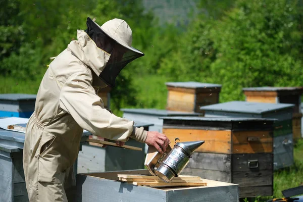 Imker Inspecteert Het Honingraatframe Bij Bijenstal Zomerdag Een Man Die — Stockfoto