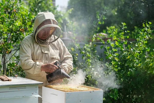 Apicoltore Sull Apiario Apicoltore Sta Lavorando Con Api Alveari Sull — Foto Stock