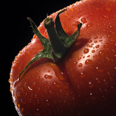 Siyah zemin üzerinde su damlaları olan kırmızı olgun domates..