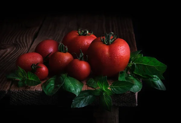 Czerwone Dojrzałe Pomidory Kroplami Wody Liśćmi Świeżej Bazylii Drewnianym Stole — Zdjęcie stockowe