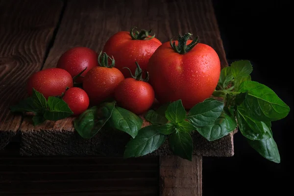 Czerwone Dojrzałe Pomidory Kroplami Wody Liśćmi Świeżej Bazylii Drewnianym Stole — Zdjęcie stockowe