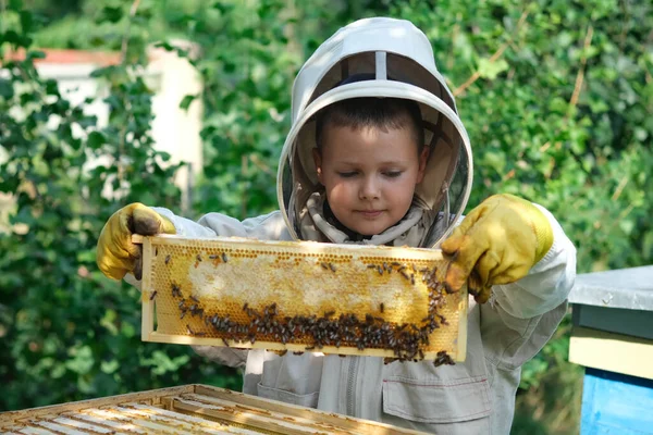 Vrolijke Bijenhouder Beschermend Pak Bij Bijenkorf Honingraat Met Honing Biologisch — Stockfoto