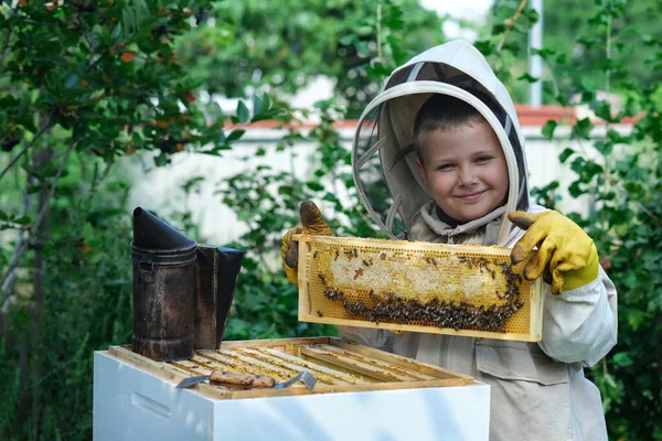 Fröhlicher Imkerjunge Schutzanzug Der Nähe Von Bienenstöcken Wabe Mit Honig — Stockfoto