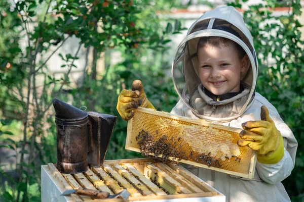 Fröhlicher Imkerjunge Schutzanzug Der Nähe Von Bienenstöcken Wabe Mit Honig — Stockfoto