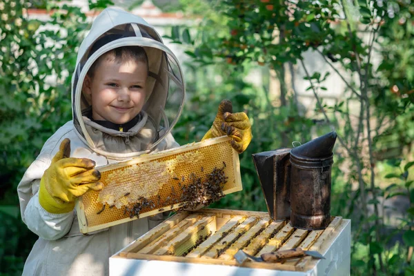 Χαρούμενος Μελισσοκόμος Προστατευτική Στολή Κοντά Στην Κυψέλη Μέλι Μέλι Οργανική — Φωτογραφία Αρχείου