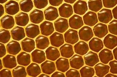 Balmumu bal peteğinin bir bölümünün arkaplan dokusu ve deseni tam çerçeve görünümlü altın bal dolu bir arı kovanına ait.