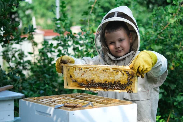 養蜂場の近くの保護服の中で陽気な少年養蜂家 蜂蜜とハニカム 有機食品の概念 最も有用な有機蜂蜜 子供たちを養蜂に惹きつける — ストック写真