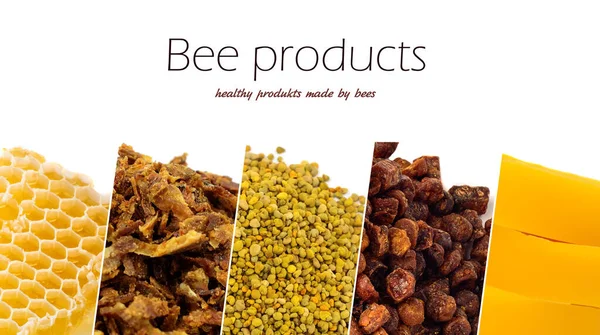 Různé Včelí Produkty Med Pyl Propolis Včelí Chléb Vosk Apitherapy — Stock fotografie