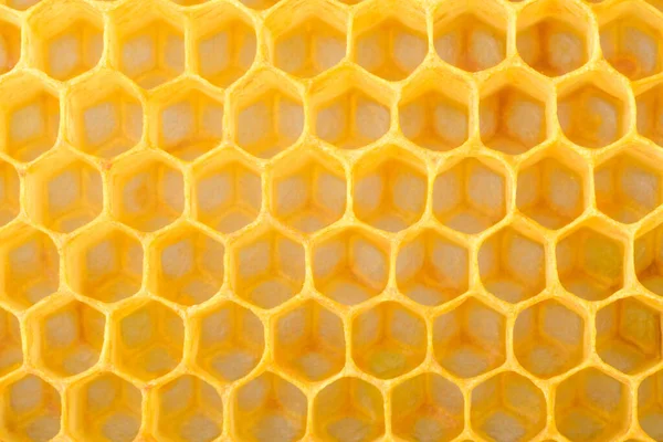 Honeycomb Macro Background Beekeeping Products Apitherapy — Stock Photo, Image