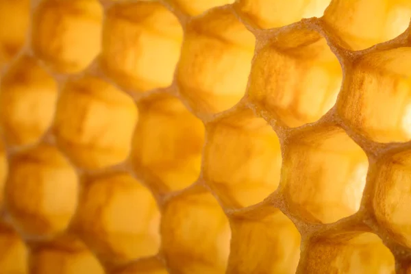 Honingraat Macro Als Achtergrond Bijenteeltproducten Apitherapie — Stockfoto