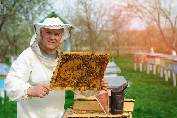 Apicoltore Con Favo Pieno Api Apicoltore Abiti Lavoro Protettivi Che — Foto Stock