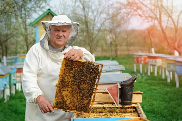 Apicoltore Con Favo Pieno Api Apicoltore Abiti Lavoro Protettivi Che — Foto Stock