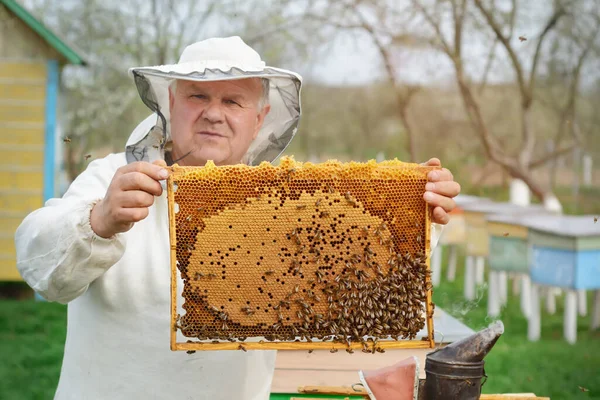 Apicoltore Lavora Alveare Vicino Agli Alveari Lavoro Primaverile Sull Apiario — Foto Stock