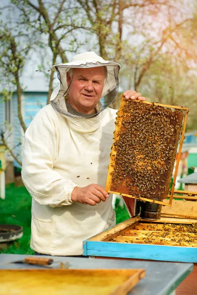 養蜂家は蜂でいっぱいのハニカムを持っています 保護作業服の養蜂家は 臨時でハニカムフレームを検査します 春の桃園の様子 — ストック写真