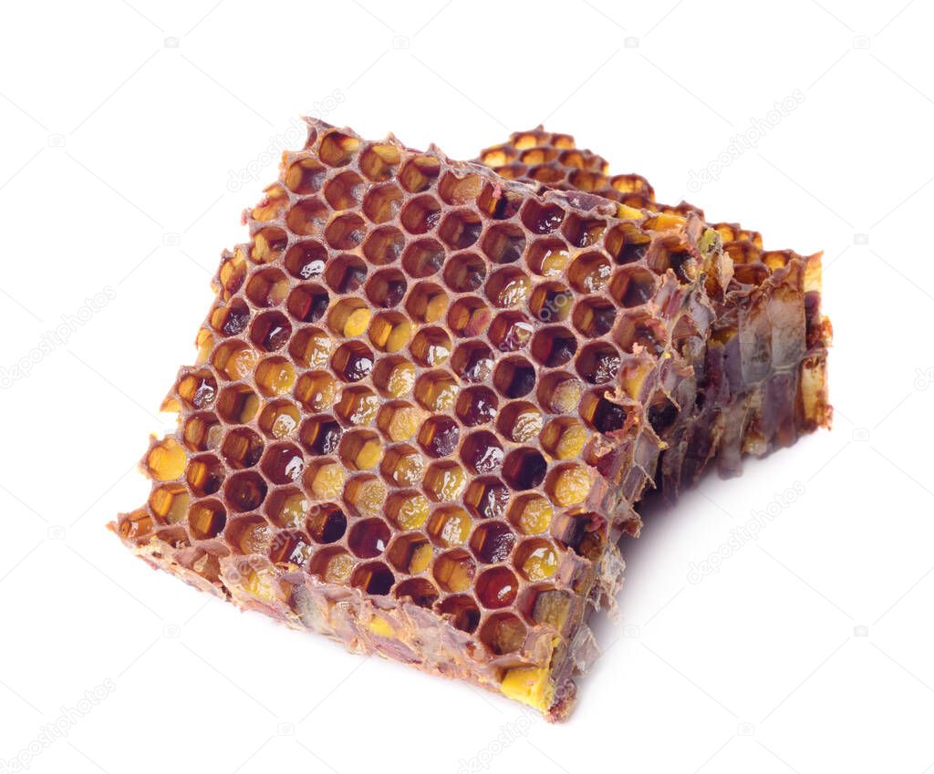 Bee granules and a piece of honey cells are isolated on a white background. Natural remedy for immunity enhancement. Beekeeping products. Apitherapy