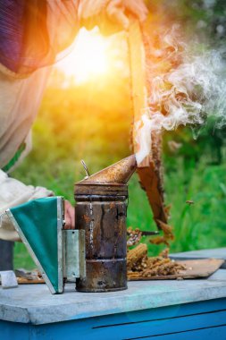 Yaşlı arı tiryakisi. Arıcılık aleti. Arıcılık teması
