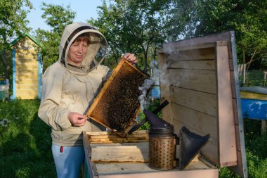 Arı kovanını ve tarama sistemini kontrol eden arıcı. Görüntü