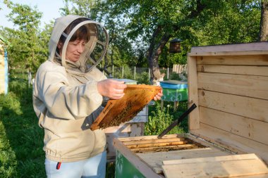 Arı kovanını ve tarama sistemini kontrol eden arıcı. Görüntü