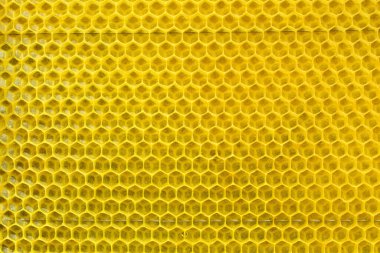 Arılar bal için yeni bir hücre inşa ettiler. Bal tarağı arkaplanı veya dokusu