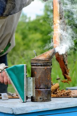 Yaşlı arı tiryakisi. Arıcılık aleti. Arı yetiştiricisi kovanların yanındaki arı kovanında çalışıyor.