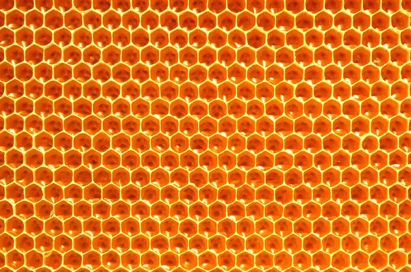 Mézzel Fésülködik Természetes Háttér Nyaki Méhészet — Stock Fotó