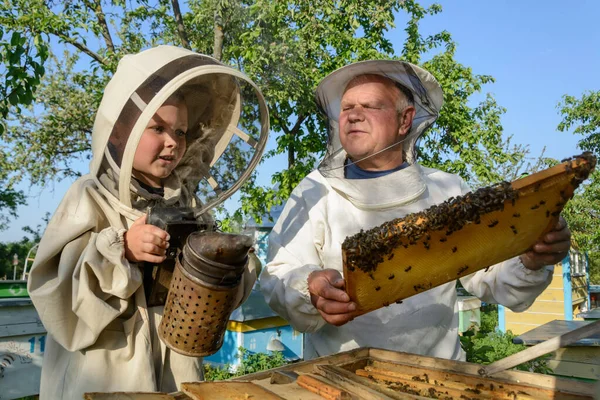 Grand Père Apiculteur Expérimenté Enseigne Son Petit Fils Occuper Des — Photo