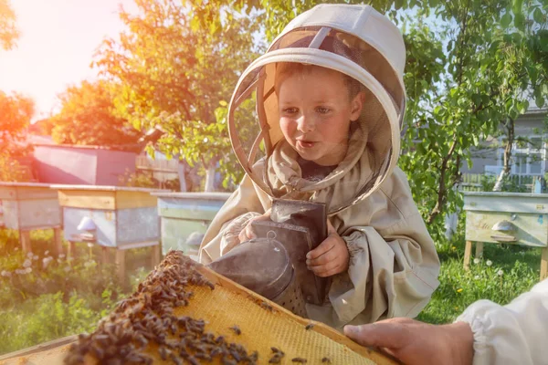 Der Erfahrene Imker Opa Bringt Seinem Enkel Bei Sich Die — Stockfoto