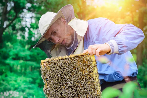 養蜂家は巣の近くでミツバチと働いています — ストック写真