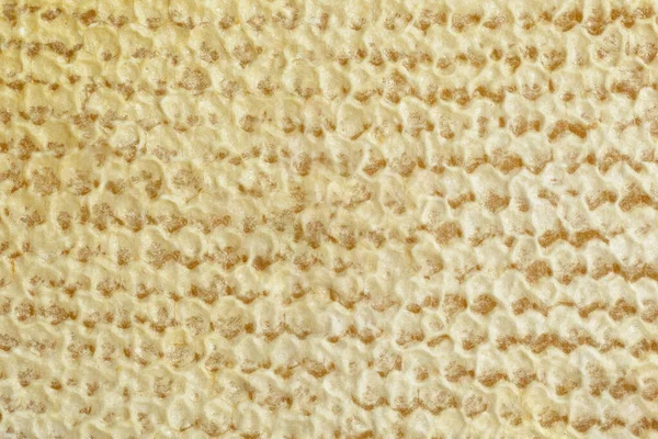 Fragment Honeycomb Full Cells Newly Pulled Honey Bee Honeycomb Beeswax — Stock Photo, Image