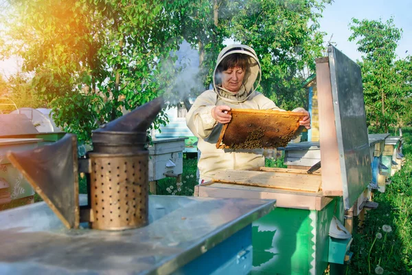 Женщина Пчеловод Контролирует Улей Гребень Сладкие Соты Пасека — стоковое фото